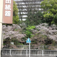 Sakura2017_122