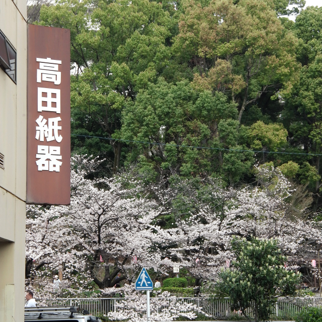 Sakura2018_025