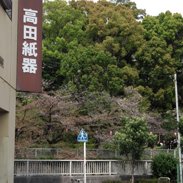 Sakura2018_071